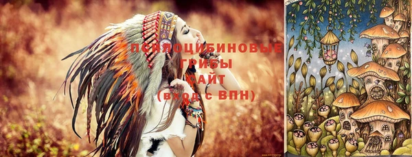 apvp Александровское