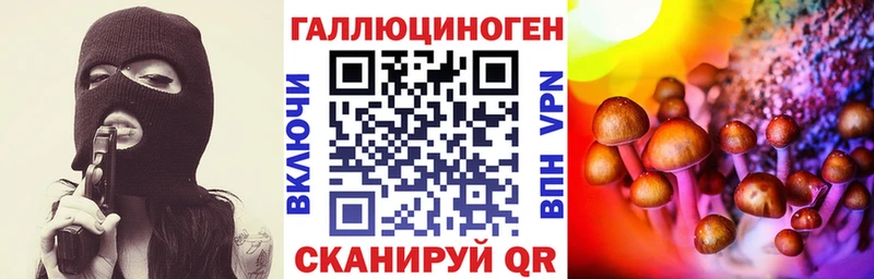 Псилоцибиновые грибы Psilocybine cubensis  Купить где  Порхов 